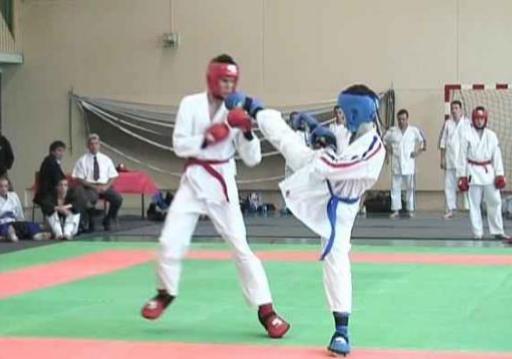 Karate contact
